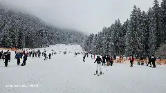 508-ALPIN POIANA BRAȘOV facilități