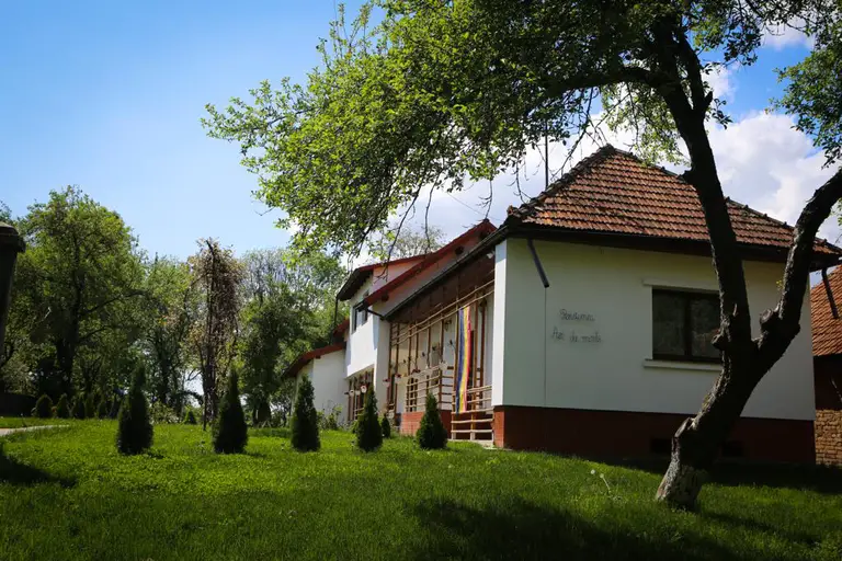 Cazare AER DE MUNTE în Săvăstreni, BRAŞOV - aer-de-munte-com-recea-sat-savastreni