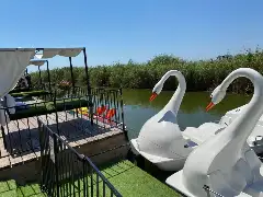 ALFA exterior