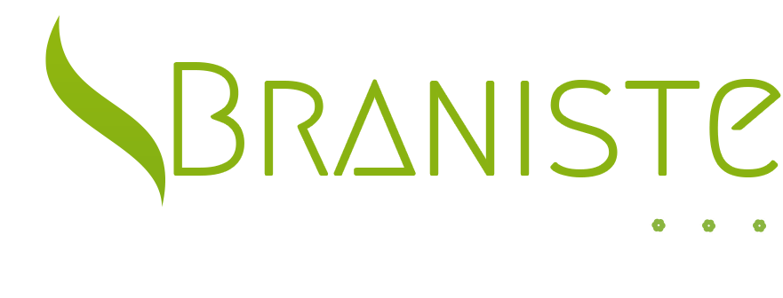 BRANIŞTE exterior