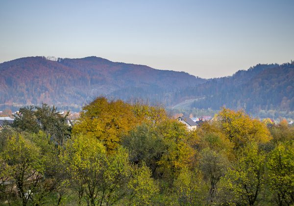 BUCOVINA RESIDENCE exterior