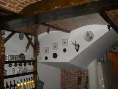 CASA BORZA interior