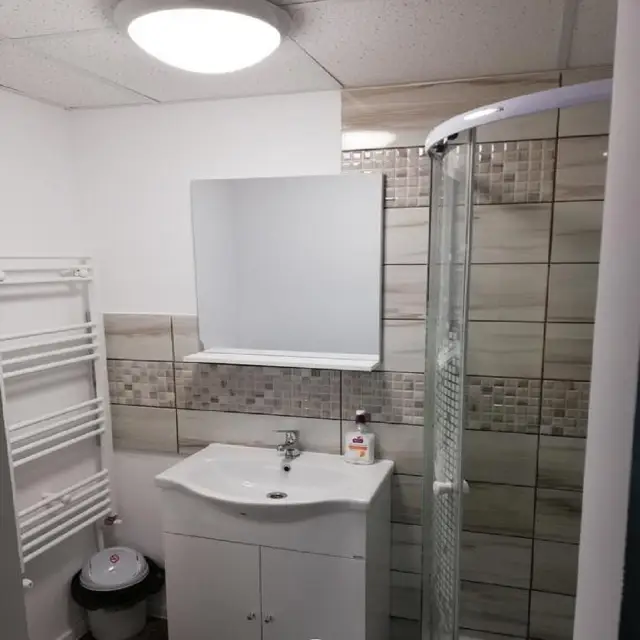 CASA BORZA cameră Cameră 1