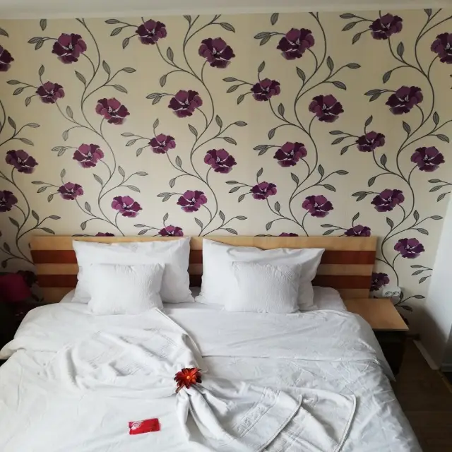 CASA BORZA cameră Cameră 2