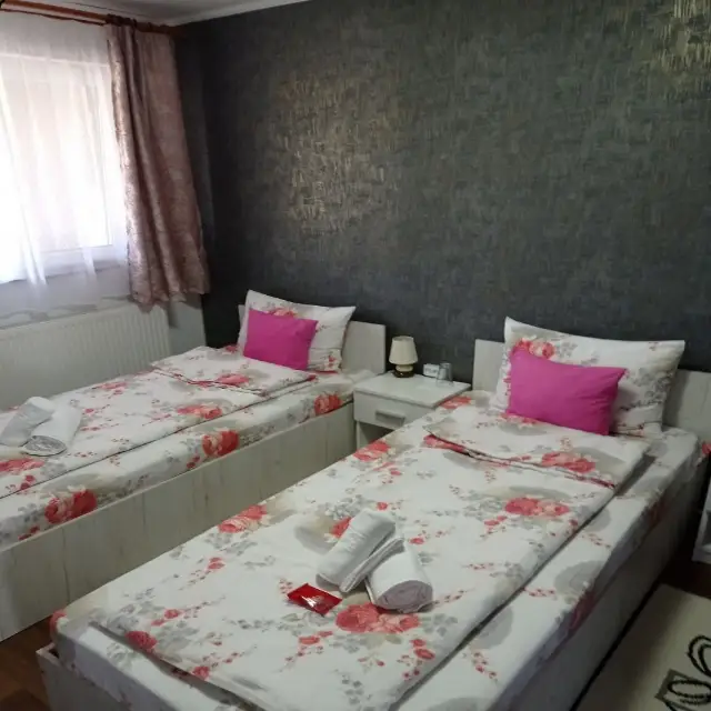 cameră Cameră 1 la CASA BORZA în Alba Iulia - imagine 26