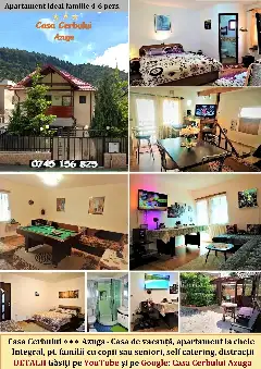 CASA CERBULUI facilități