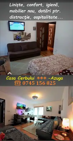 CASA CERBULUI interior