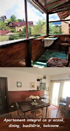 CASA CERBULUI interior