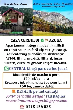 CASA CERBULUI interior