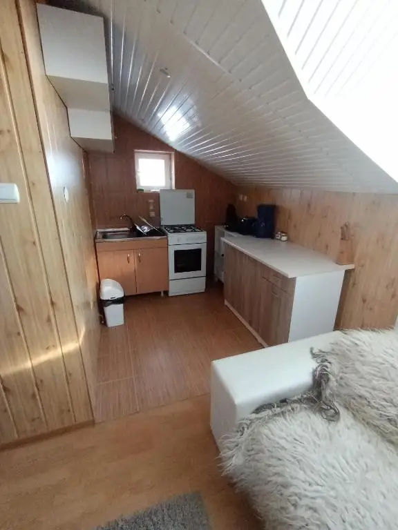CASA CORINA ŞIRNEA cameră APARTAMENT