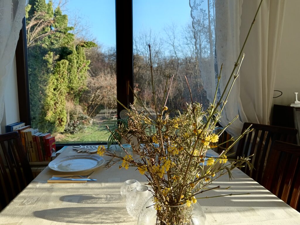 Cazare CASA MARIA în Banpotoc, HUNEDOARA