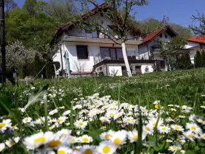 Cazare CASA NATURA în Băile Herculane, CARAŞ-SEVERIN - casa-natura-oras-baile-herculane