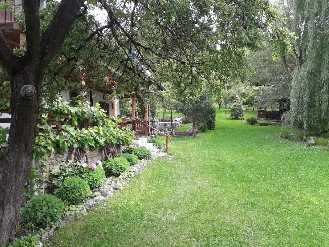 CASA RUSTICĂ OLTENIA cameră Cameră 1