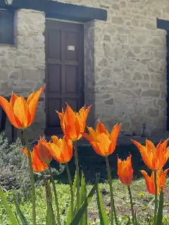 CASA THEA exterior