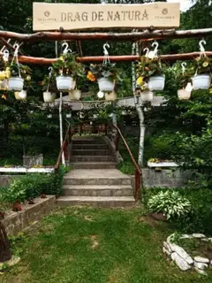 CASOCA CASCADĂ exterior
