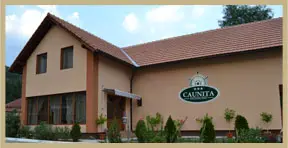 Cazare CAUNITA în Gornea, CARAŞ-SEVERIN