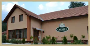 Cazare CAUNITA în Gornea, CARAŞ-SEVERIN - caunita-com-sichevita-sat-gornea
