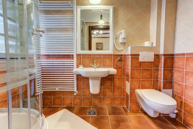 CONACUL AMBIENT cameră Camere Executive