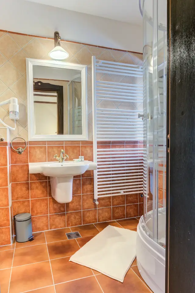 CONACUL AMBIENT cameră Camere Executive