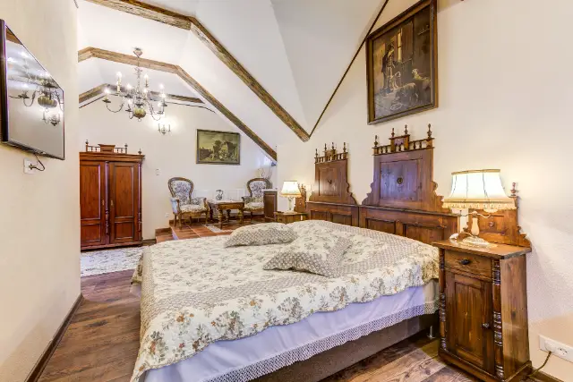 CONACUL AMBIENT cameră Camere Executive