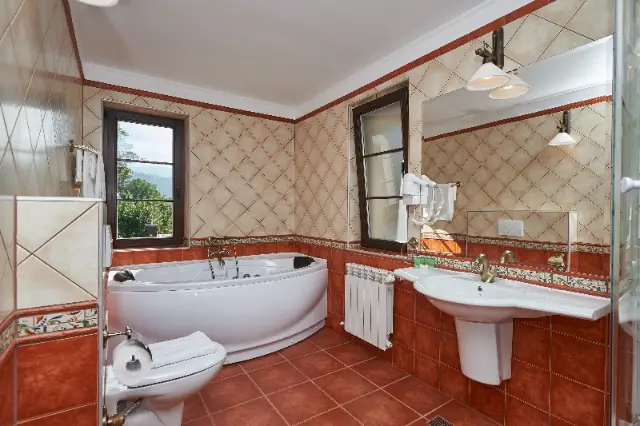 CONACUL AMBIENT cameră Camere Executive