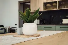 COZY HILLSIDE interior