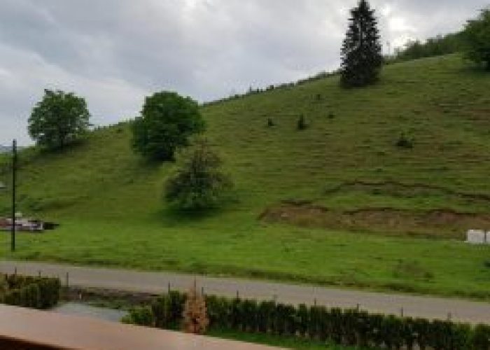 DAVIDEEA exterior