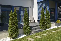 DÉJÀ BLUE exterior