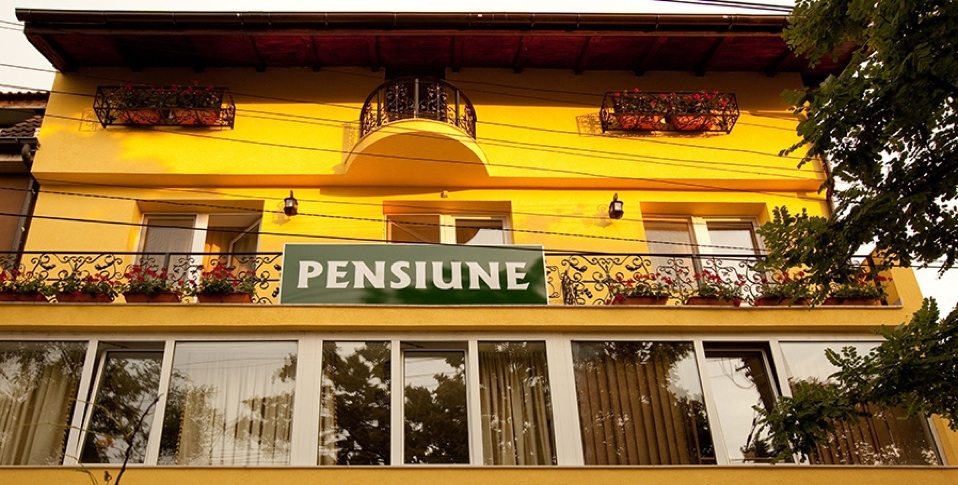 Cazare DINU RESIDENCE în Timişoara, TIMIŞ