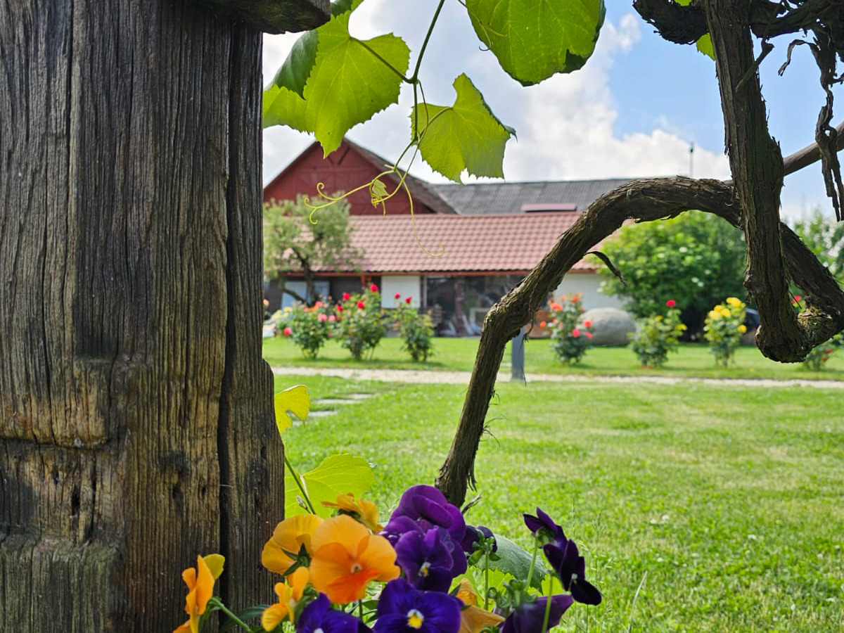 DRUMUL ŢĂRII
