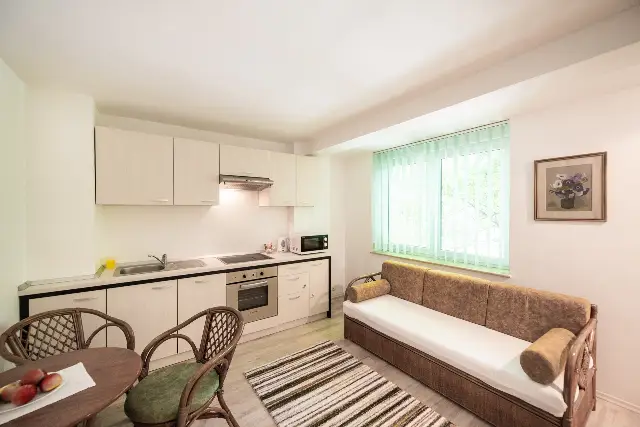 VILA ELENA cameră Junior suite cu bucatarioara