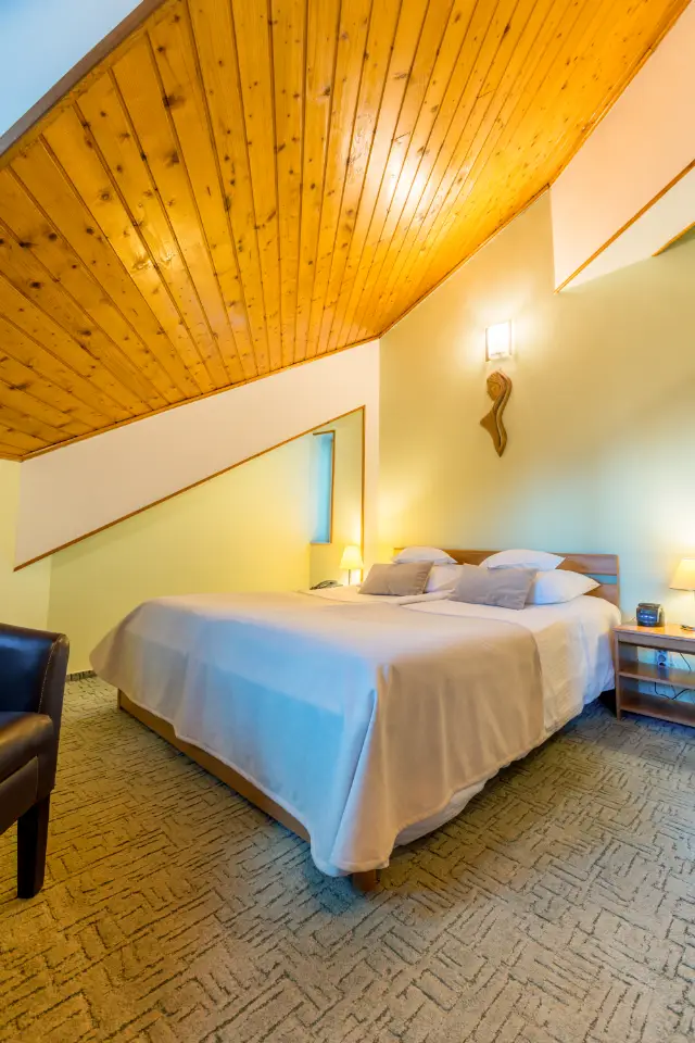 HOTEL AMBIENT cameră Camere Duble / Twin Confort 3* fara lift si acces la Spa