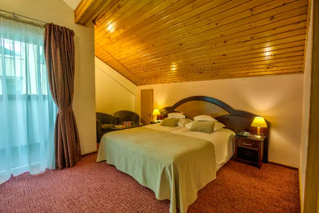 HOTEL AMBIENT cameră Camere Duble / Twin Deluxe 4*