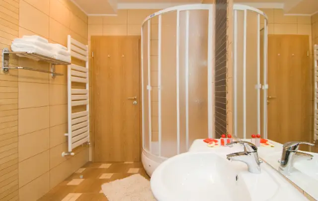 HOTEL AMBIENT cameră Camere Duble / Twin Deluxe 4*