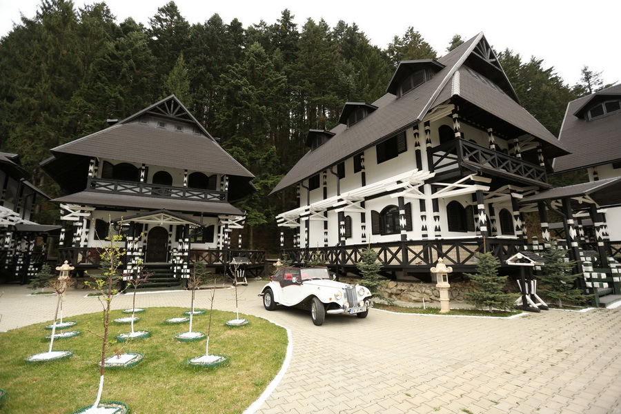 LION'S exterior