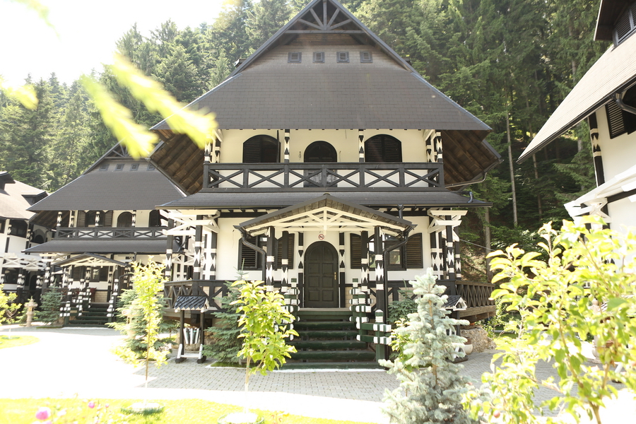 LION'S exterior
