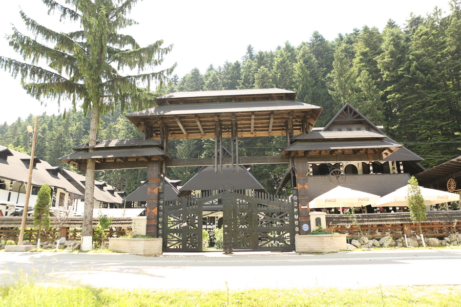 LION'S exterior