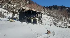 MĂGURA RUSTIC TINY HOUSE galerie