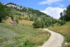 MĂGURA RUSTIC TINY HOUSE galerie