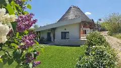 NEST exterior