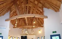 NEST interior