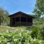 OLĂNEŞTI exterior