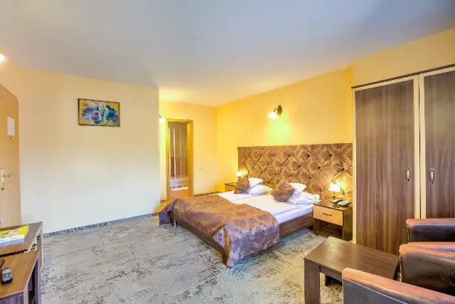 PENSIUNE AMBIENT cameră Camere Duble / Twin