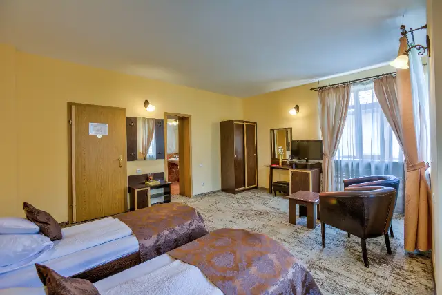 PENSIUNE AMBIENT cameră Camere Duble / Twin
