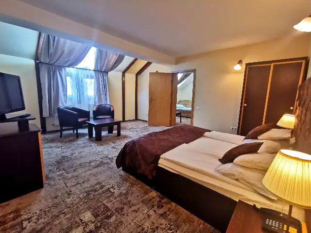 PENSIUNE AMBIENT cameră Apartament
