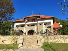 POIANA CETĂŢUII cover