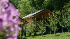 POIANA SOARELUI exterior