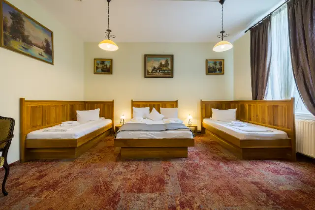 RESIDENCE AMBIENT cameră Camere Duble / Twin