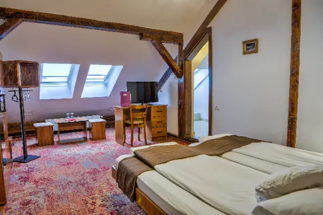 RESIDENCE AMBIENT cameră Camere Duble / Twin
