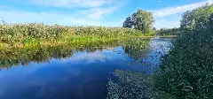 RIO DIVINO facilități